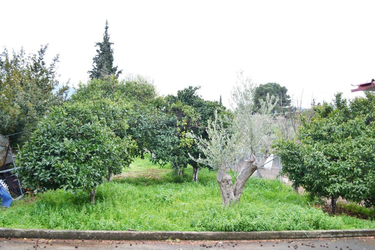 Villa Bella Loukisia Loukissia Buitenkant foto
